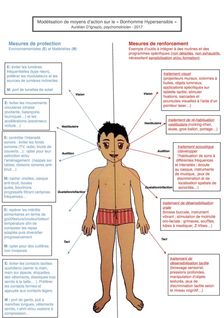 modélisation hypersensibilité tactile enfant TSA autiste dunn intégration sensorielle