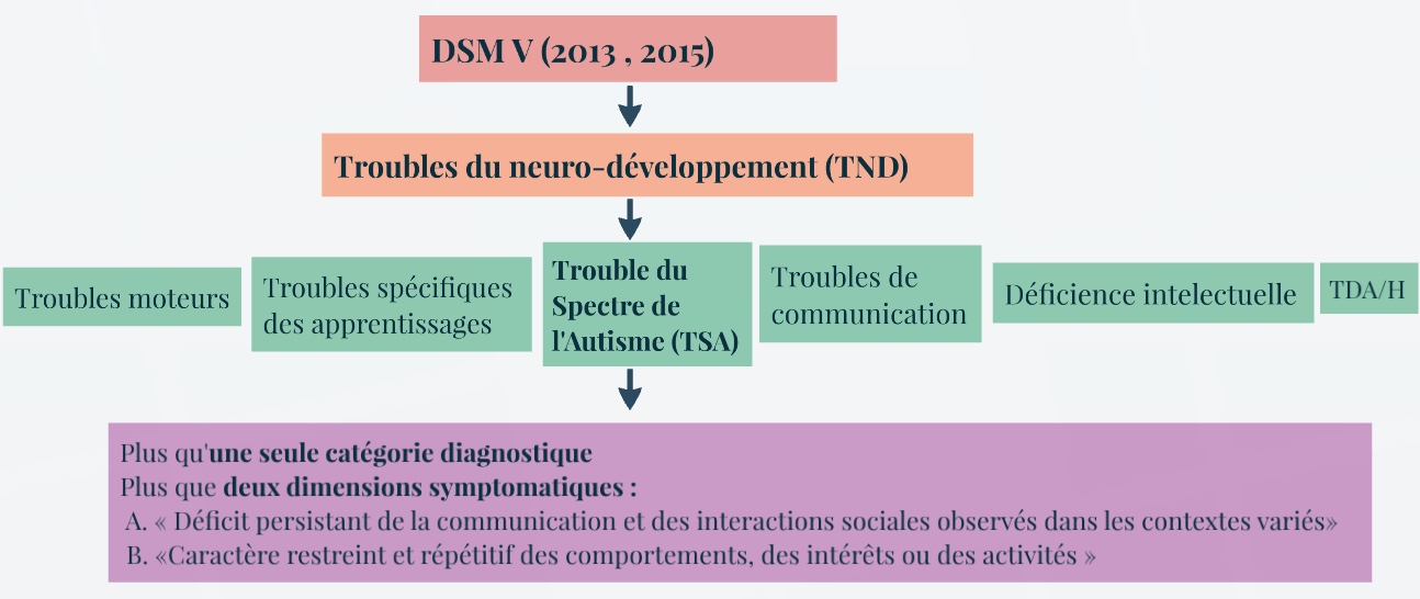 Classification TSA DSM V