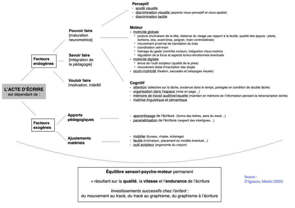 facteurs écriture psychomotricité