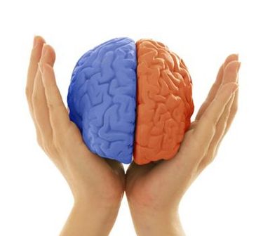 latéralité psychomotricité droite gauche